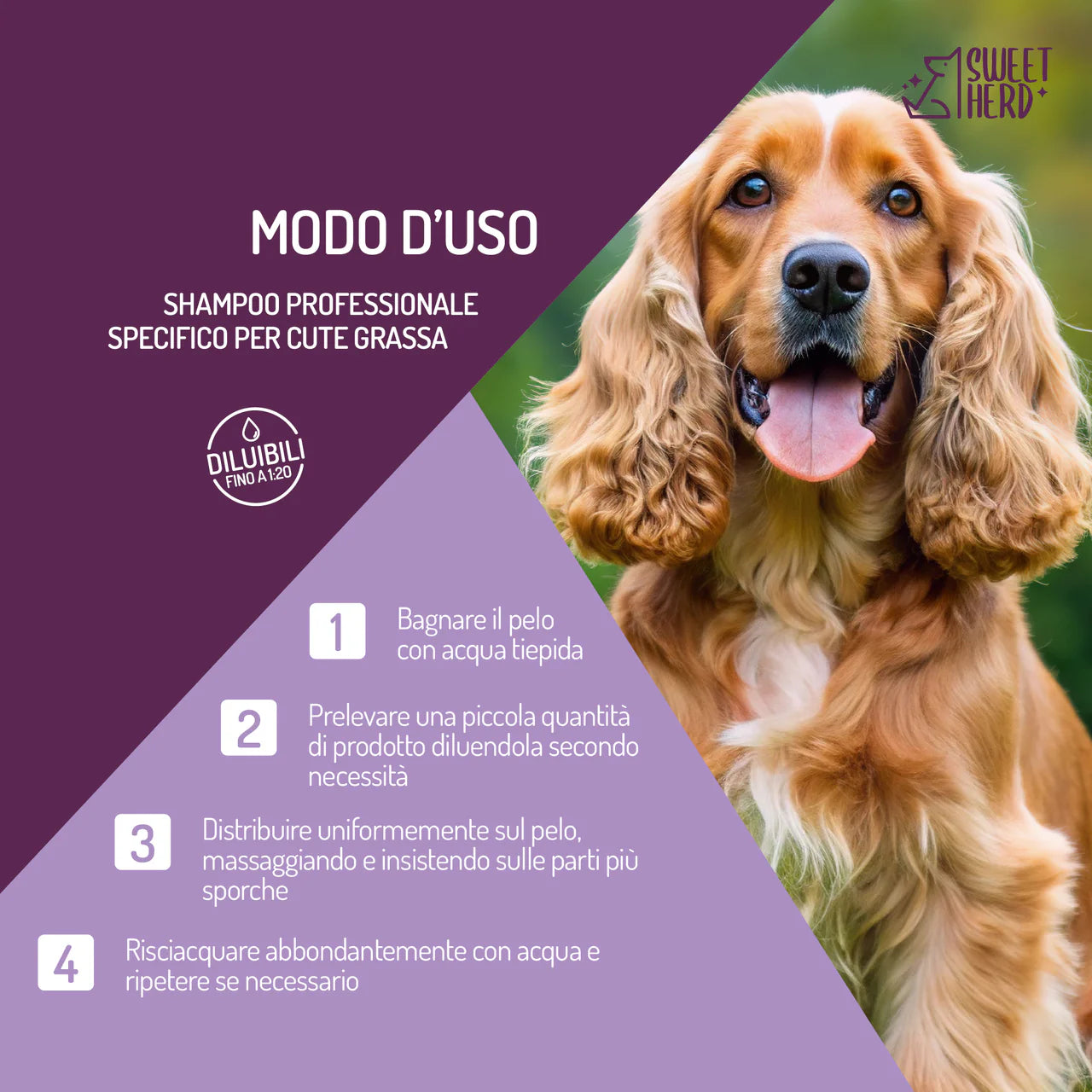 Shampoo Cute Grassa e Forfora 300 ml – Cani e Gatti