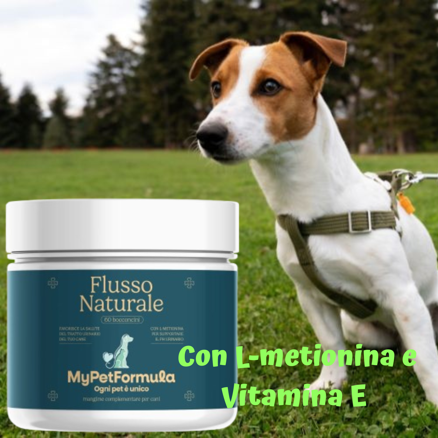 Integratore Alimentare - FLUSSO NATURALE