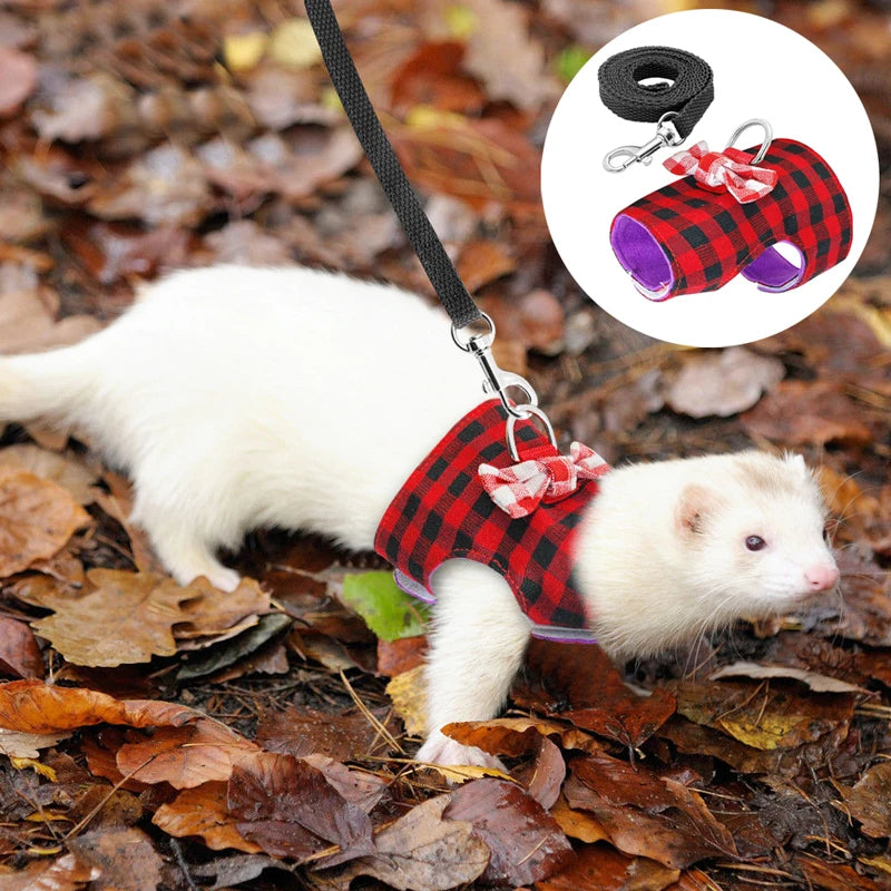 Pettorina chic per piccoli animali