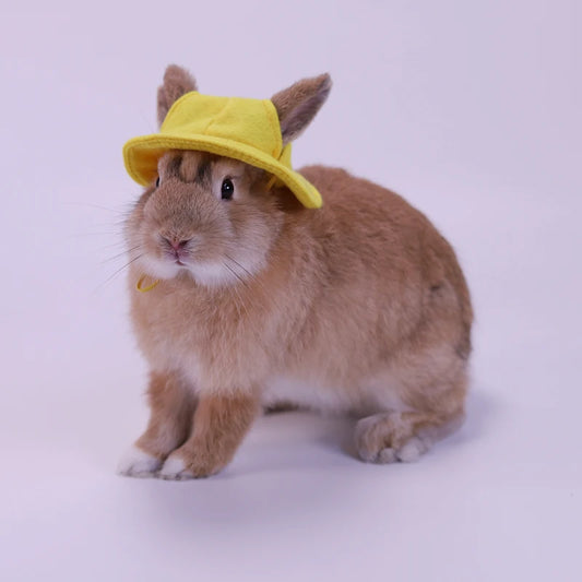 Cappellino per piccoli animali