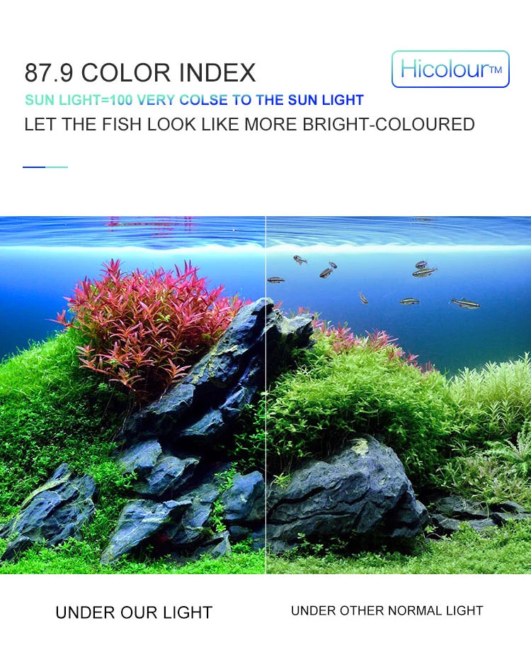Superschlanke LED-Aquarium-Pflanzenleuchten, Wachstumslicht, 5 W/10 W/15 W, Aquarien-Pflanzenbeleuchtung, wasserdichte Clip-on-Lampe für Aquarien