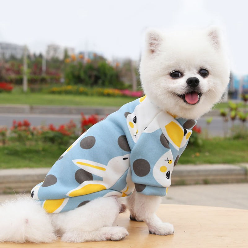Dolcissimi pigiamini per cani