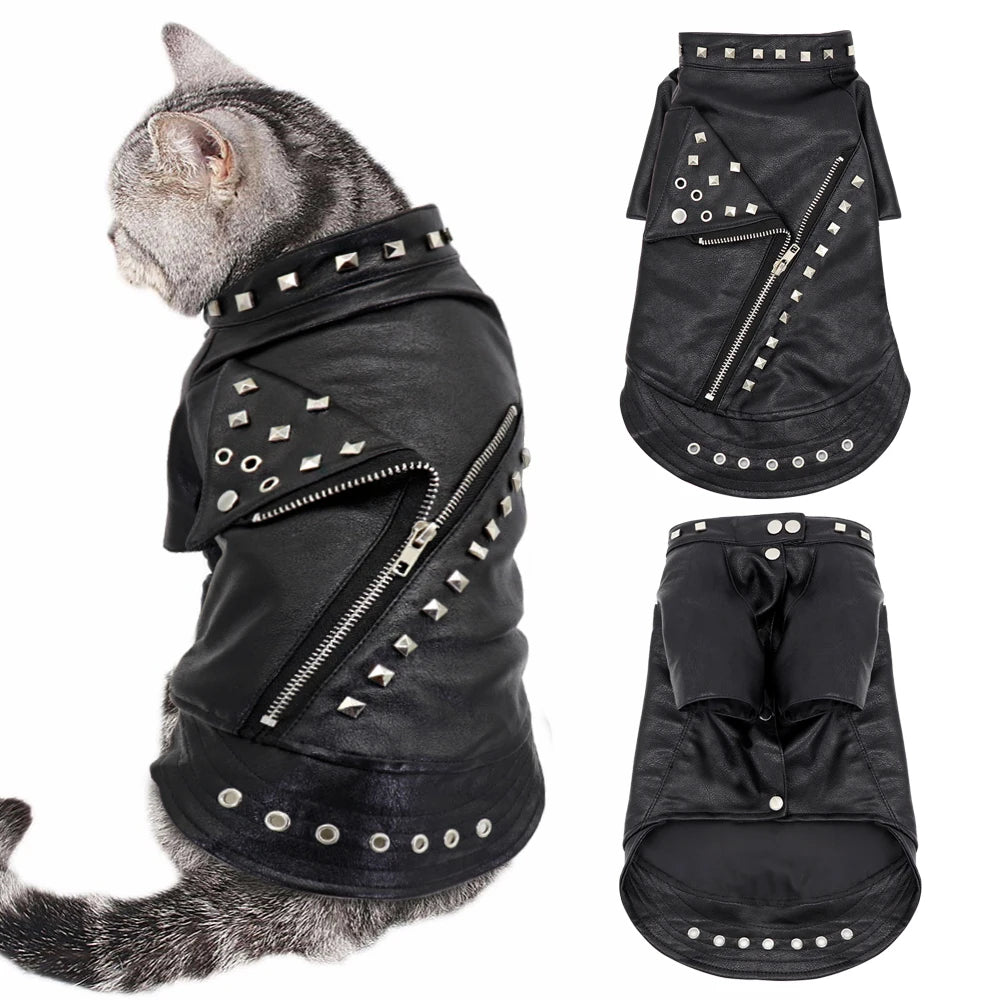 Lederjacke für Katzen und kleine Hunde