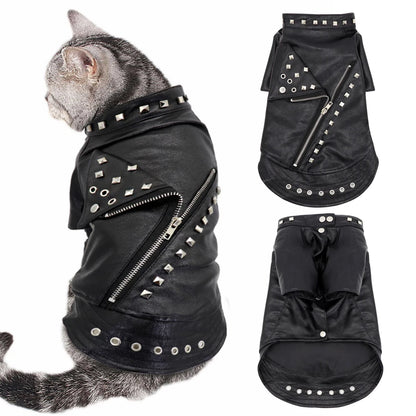 Lederjacke für Katzen und kleine Hunde