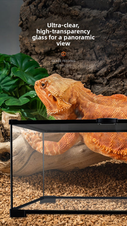 Professionelles Glas-Terrarium für Reptilien, geeignet für Chamäleons, Echsen und Schlangen, ideal für Hornfrösche und Wasserschildkröten, mit transparenter Belüftung.