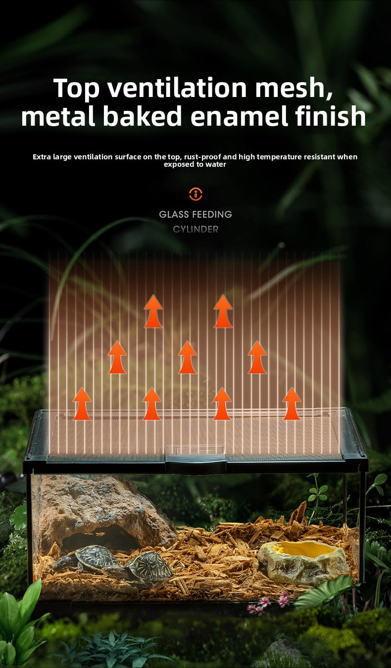 Professionelles Glas-Terrarium für Reptilien, geeignet für Chamäleons, Echsen und Schlangen, ideal für Hornfrösche und Wasserschildkröten, mit transparenter Belüftung.
