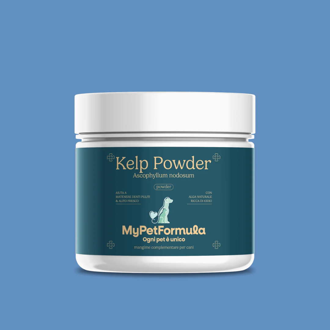 Integratore Alimentare - KELP POWDER (Igiene Orale)