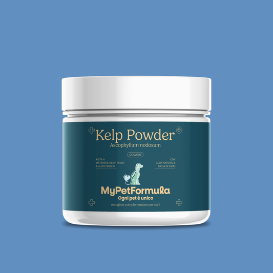 Integratore Alimentare - KELP POWDER (Igiene Orale)
