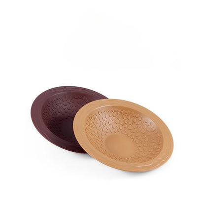 Pond con feeder per tartarughe d'acqua