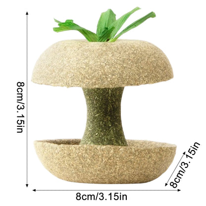 Biscotto per criceti