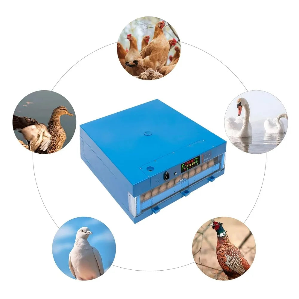 Incubatrice per uova 220V Macchina da cova automatica Temperatura e umidità regolabili Rotazione automatica di 360 gradi