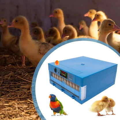 Incubatrice per uova 220V Macchina da cova automatica Temperatura e umidità regolabili Rotazione automatica di 360 gradi