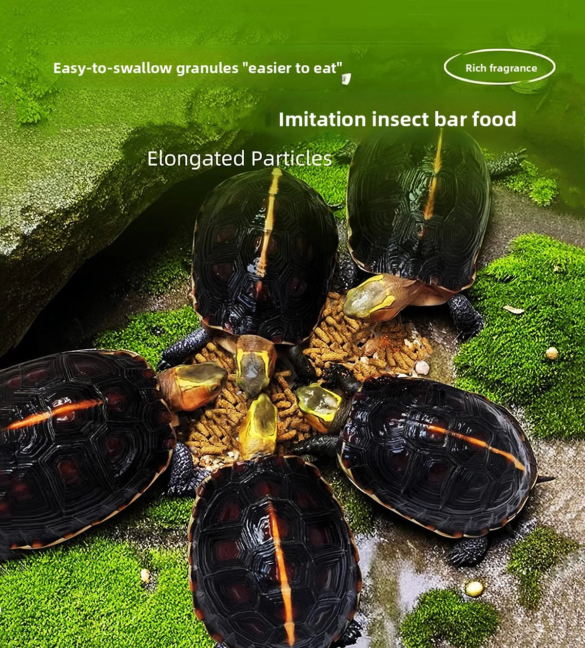 Cibo per tartarughe d'acqua - 160g