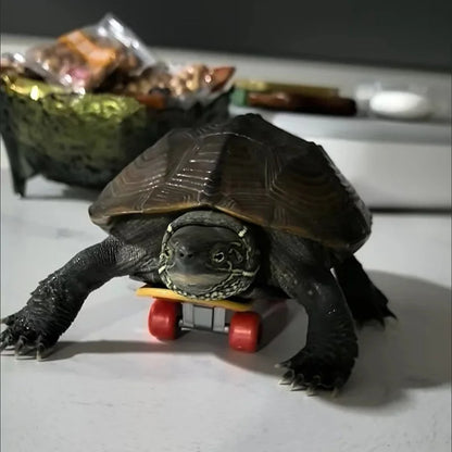 Schildkrötenspielzeug - Skateboard