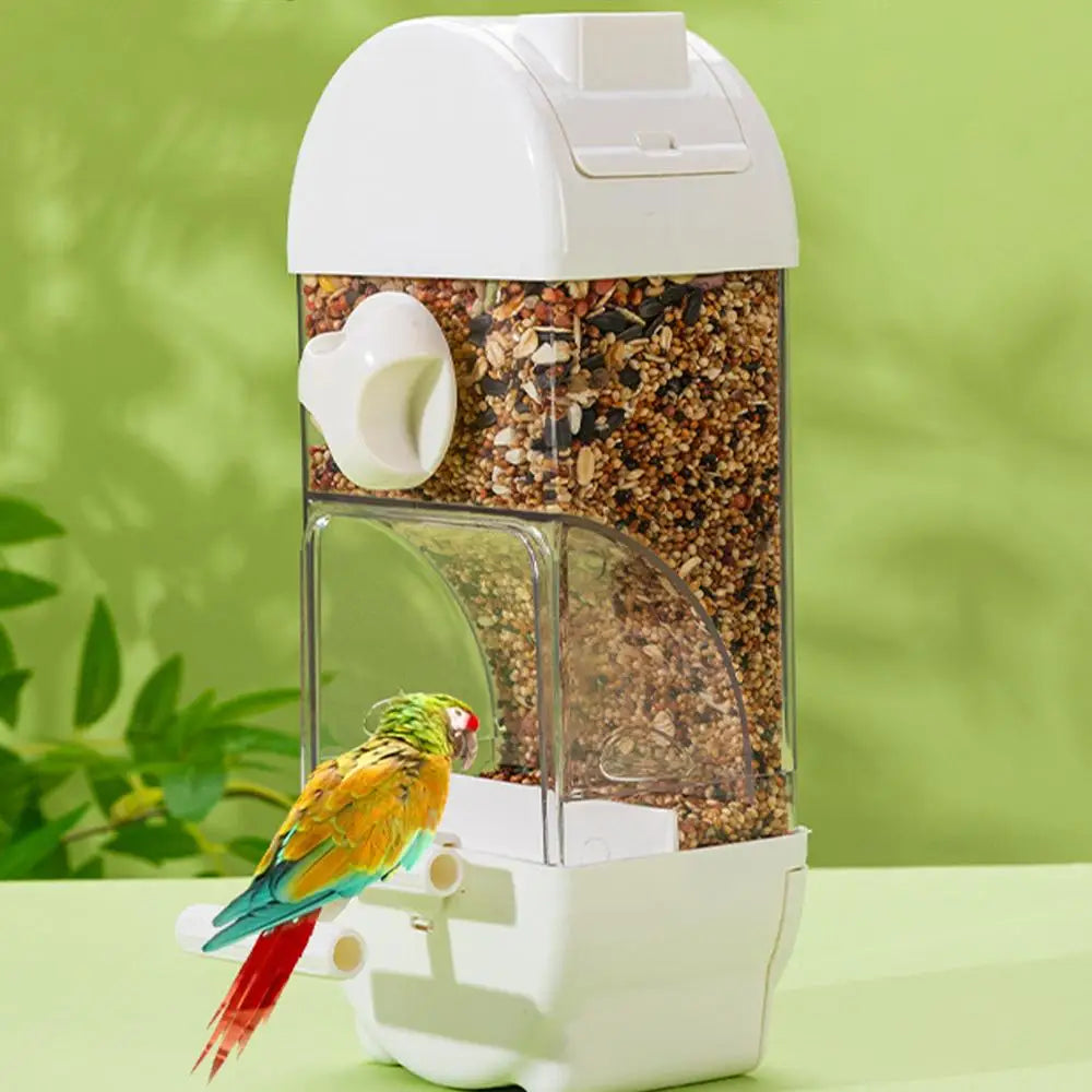 Mangiatoia per uccelli Distributore d'acqua Mangiatoia per parrocchetti a forma di casa Mangiatoia per uccelli intelligente Gabbia per bere contenitore per alimenti anti-fuoriuscita di grande capacità