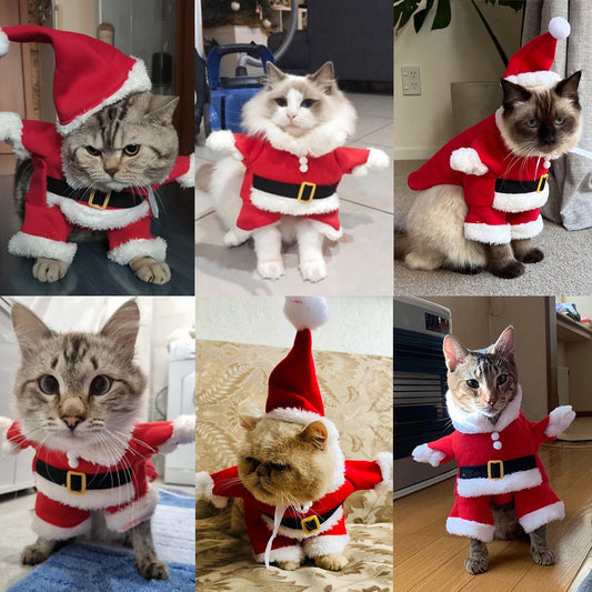 Costume Babbo Natale per gatti e cuccioli