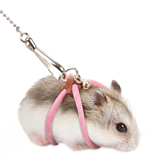 Imbracatura per piccoli animali