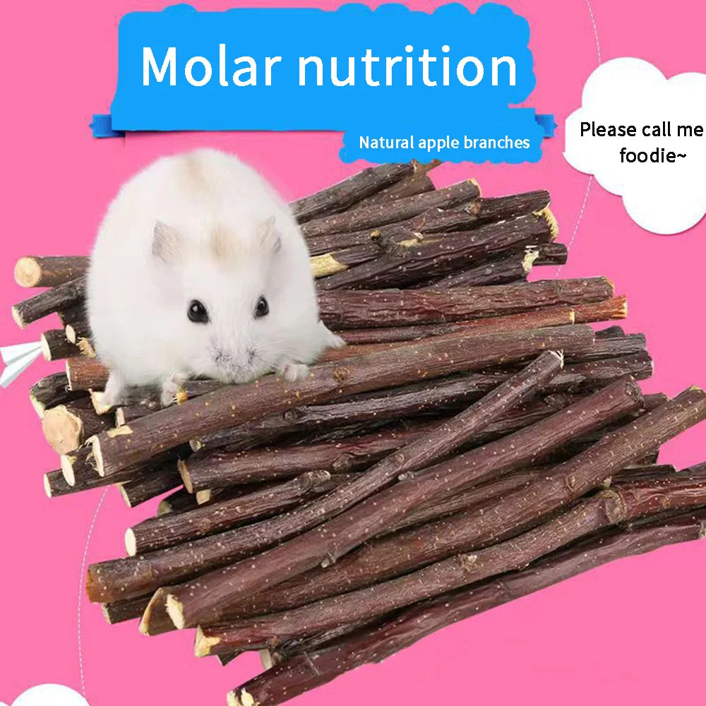 Bastone per criceti da masticare