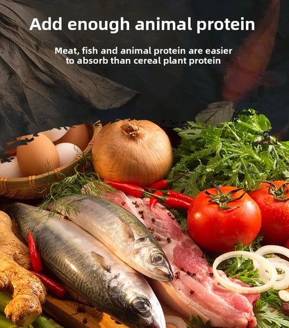 Cibo per carpe Koi, pesci rossi e pesci ornamentali