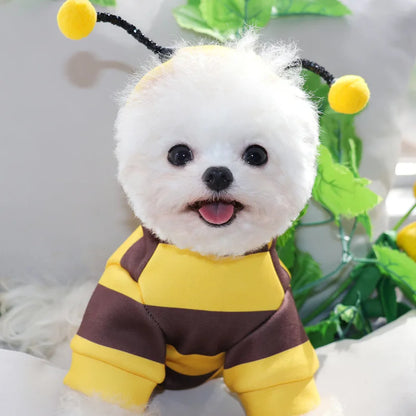 Felpa con cappuccio costume ape per cani