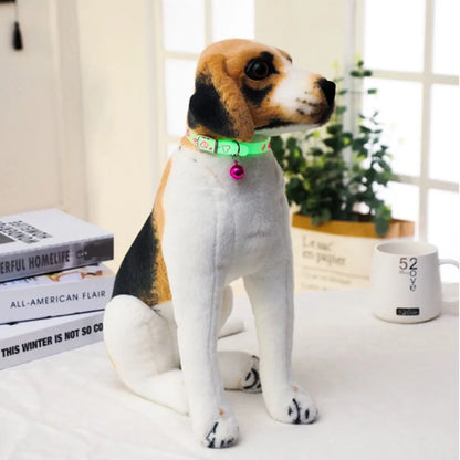 Collari luminosi per animali domestici