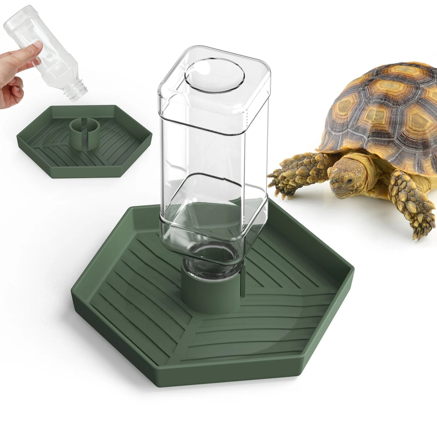 Wasserspender für Reptilien, Wassernapf, Futterzubehör, geeignet für Eidechsen, Schildkröten, Geckos, Terrarien-Zubehör