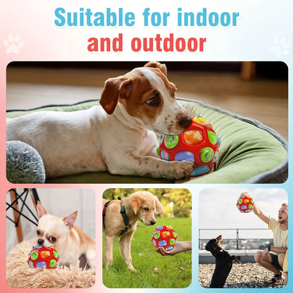 ⭐NEUHEIT⭐ Sniffing Ball für Hunde