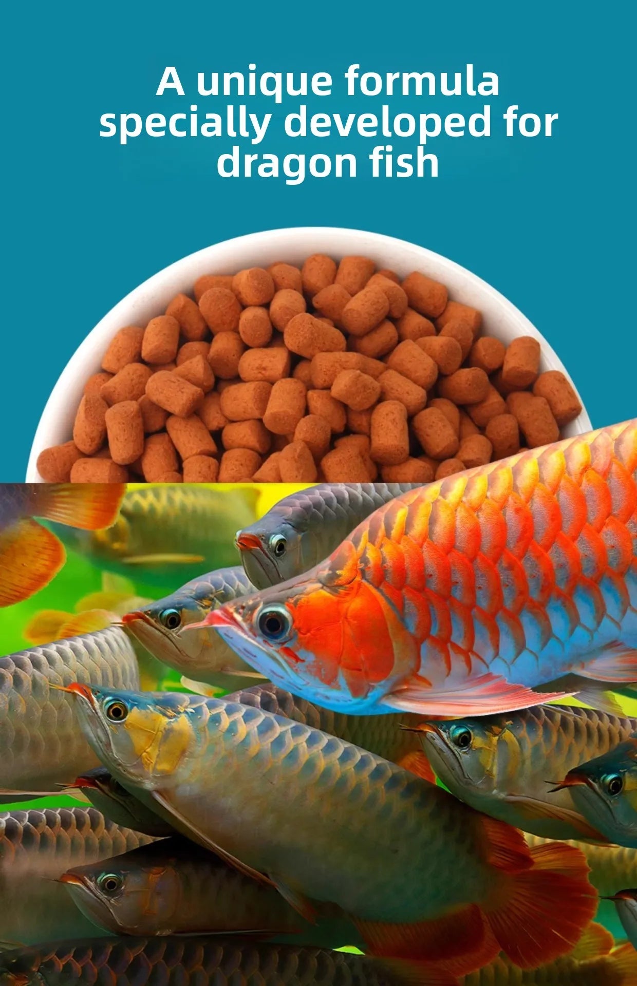Pellet galleggianti per Arowana