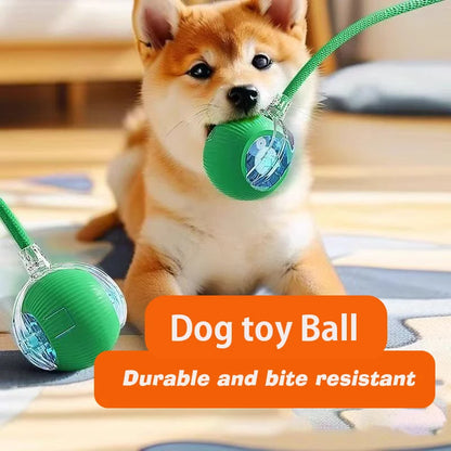 Neues interaktives Hundespielzeug, wiederaufladbarer, selbstrollender Hundeball, intelligentes, interaktives Welpenspielzeug, intelligentes Hundeballspielzeug