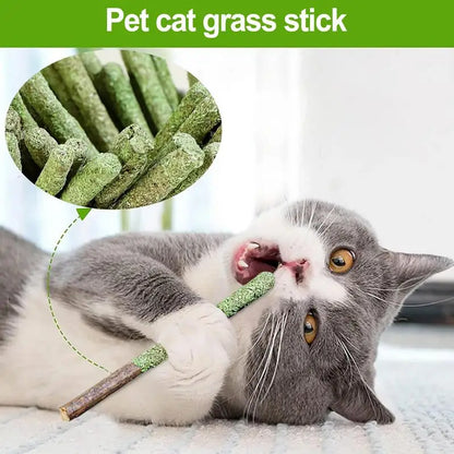 Naturale Matatabi Cat Stick Menta Catturato Morso Emozionato Aste Silvervine Per La Pulizia Dei Denti di Gatto Trattare Fornitura Per Animali Domestici Giocattoli Per Gatti