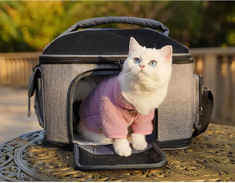 Tinta unita 43 * 31 * 35 cm MeshTravel Gatti e cani Borsa a tracolla pieghevole per animali domestici Borsa per cani