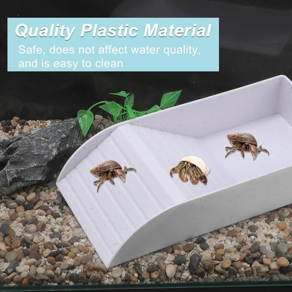 Pond con feeder per tartarughe d'acqua