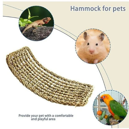 1PC Drago Barbuo Amaca Rettile Lettino per Camaleonte Lucertole Gecko Serpenti Lguana Rettili Geckos Erba Cuscino Pet Letto Altalena