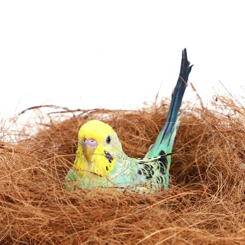 100/200g Kokosfasern Nistmaterial Nest / Faser Vogelvoliere Kanarienvögel Finken Nest gefüllt Gras Vogelkäfig Zubehör