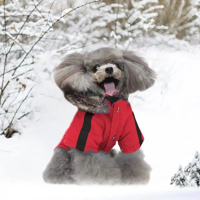 Piumino con cappuccio caldissimo