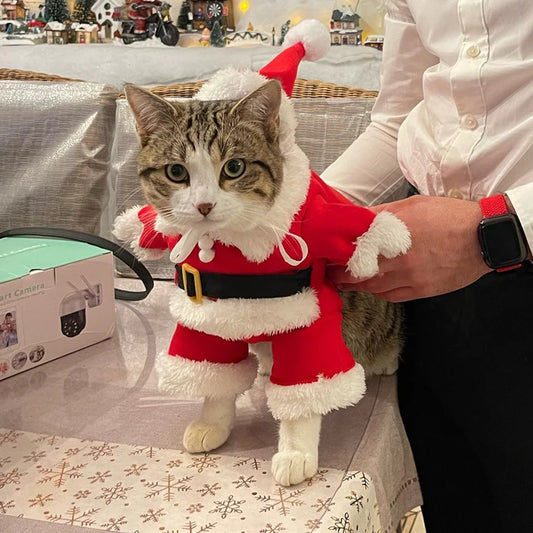 Costume Babbo Natale per gatti e cuccioli