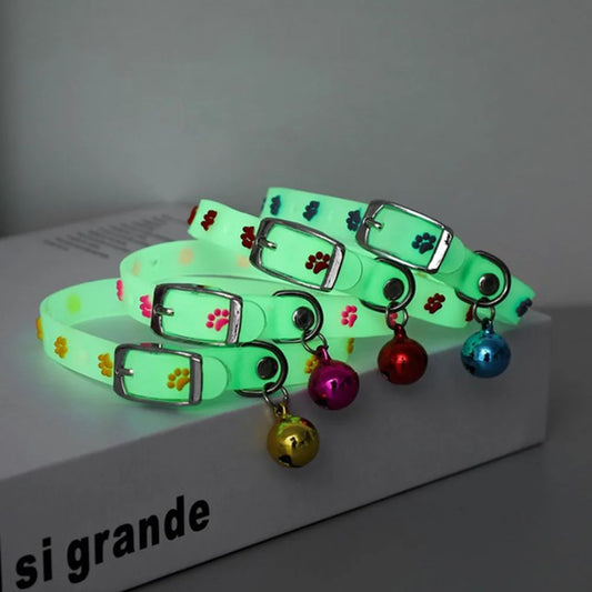 Collari luminosi per animali domestici