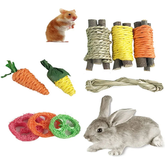 Giocattoli per piccoli animali
