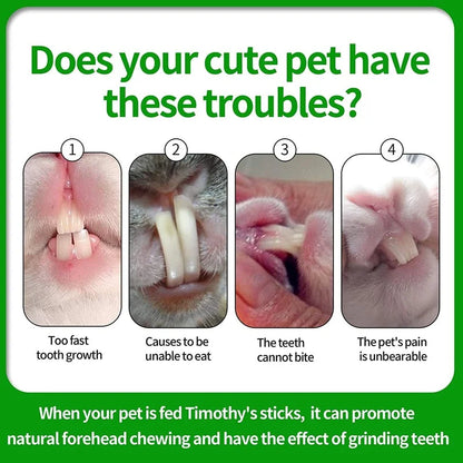 Bastoncini da masticare per piccoli animali