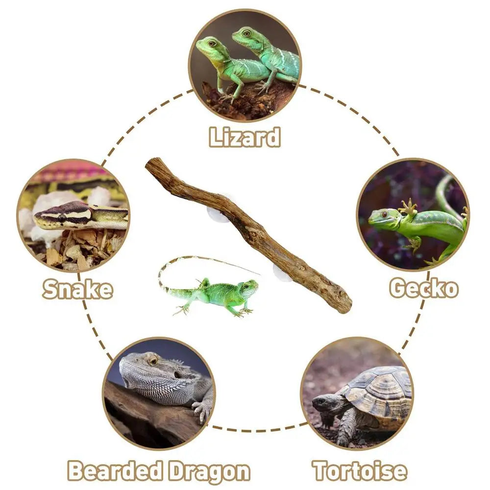 Ramo d'Albero in Legno per Rettili, Decorazione Antiscivolo per Terrario, Ornamento per Habitat