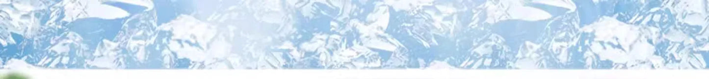 BESSN Premium - Arowana&Cichlid Fish Food