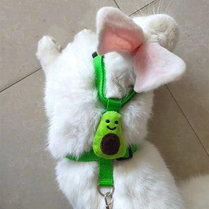 Imbracatura e guinzaglio piccoli animali