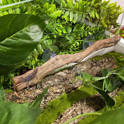 Ramo d'Albero in Legno per Rettili, Decorazione Antiscivolo per Terrario, Ornamento per Habitat