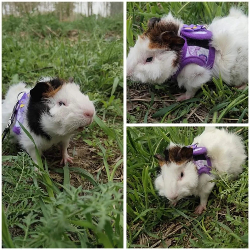Verstellbares Geschirr mit Leine und Fliege für kleine Haustiere wie Hamster, Kaninchen, Meerschweinchen, Chinchillas, Frettchen