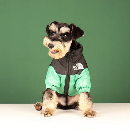 Vestiti invernali per cani di piccola taglia e media