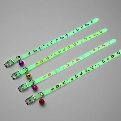 Collari luminosi per animali domestici