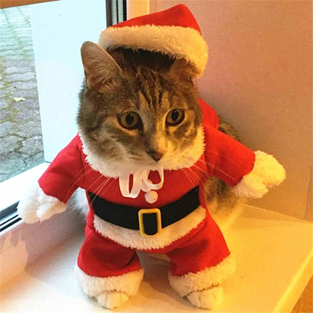Costume Babbo Natale per gatti e cuccioli