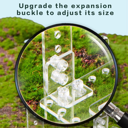 Piattaforma basking per tartarughe d'acqua