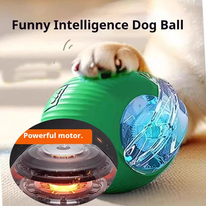 Neues interaktives Hundespielzeug, wiederaufladbarer, selbstrollender Hundeball, intelligentes, interaktives Welpenspielzeug, intelligentes Hundeballspielzeug