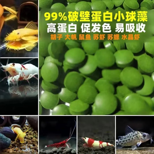 Cibo per pesci tropicali